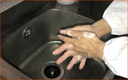 手洗い消毒の実施